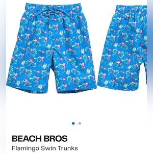 Flamingo Swim Trucks.